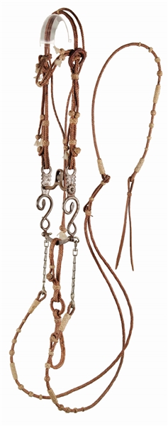 RAWHIDE BRAIDED BRIDLE AND SNAKE BIT.