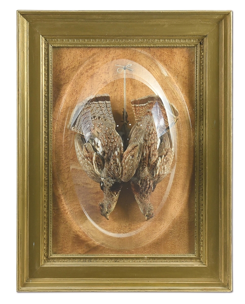 VINTAGE FRAMED TAXIDERMY RUFFED GROUSE DISPLAY.