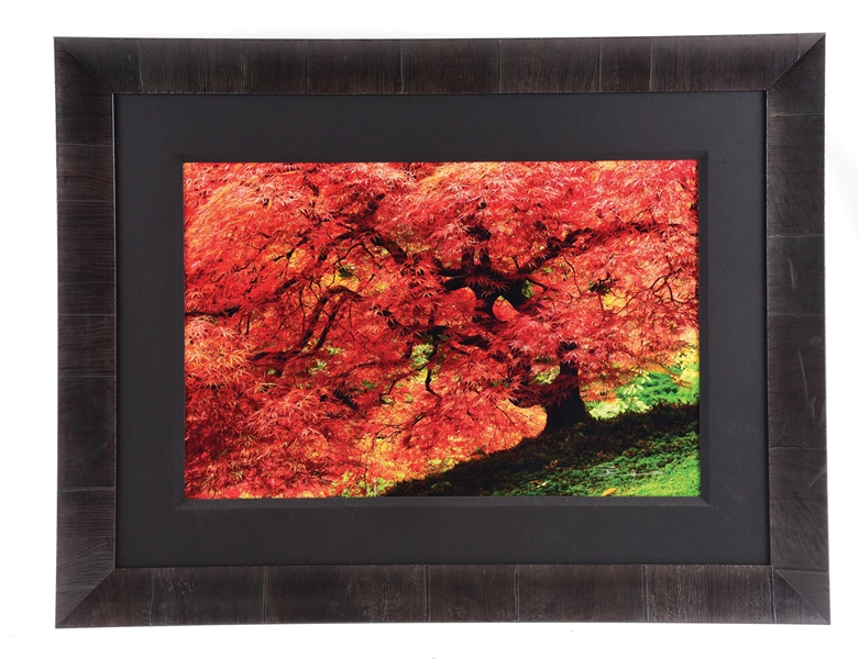 PETER LIK LIMITED EDITION FRAMED PHOTOGRAPH "ENCHANTMENT".