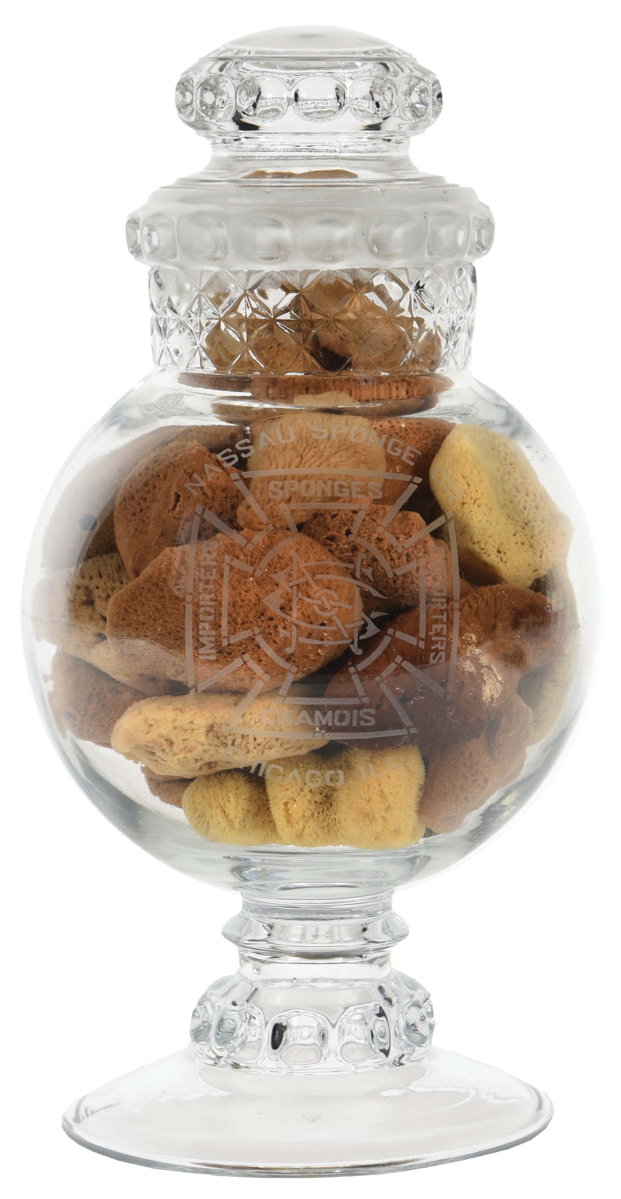 Lot Detail - NASSAU SPONGE CO. GLASS DISPLAY CONTAINER WITH SEA SPONGES.