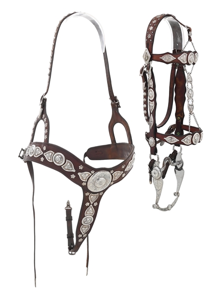 SILVER MOUNTED BRIDLE & MARTINGALE PARADE SET 