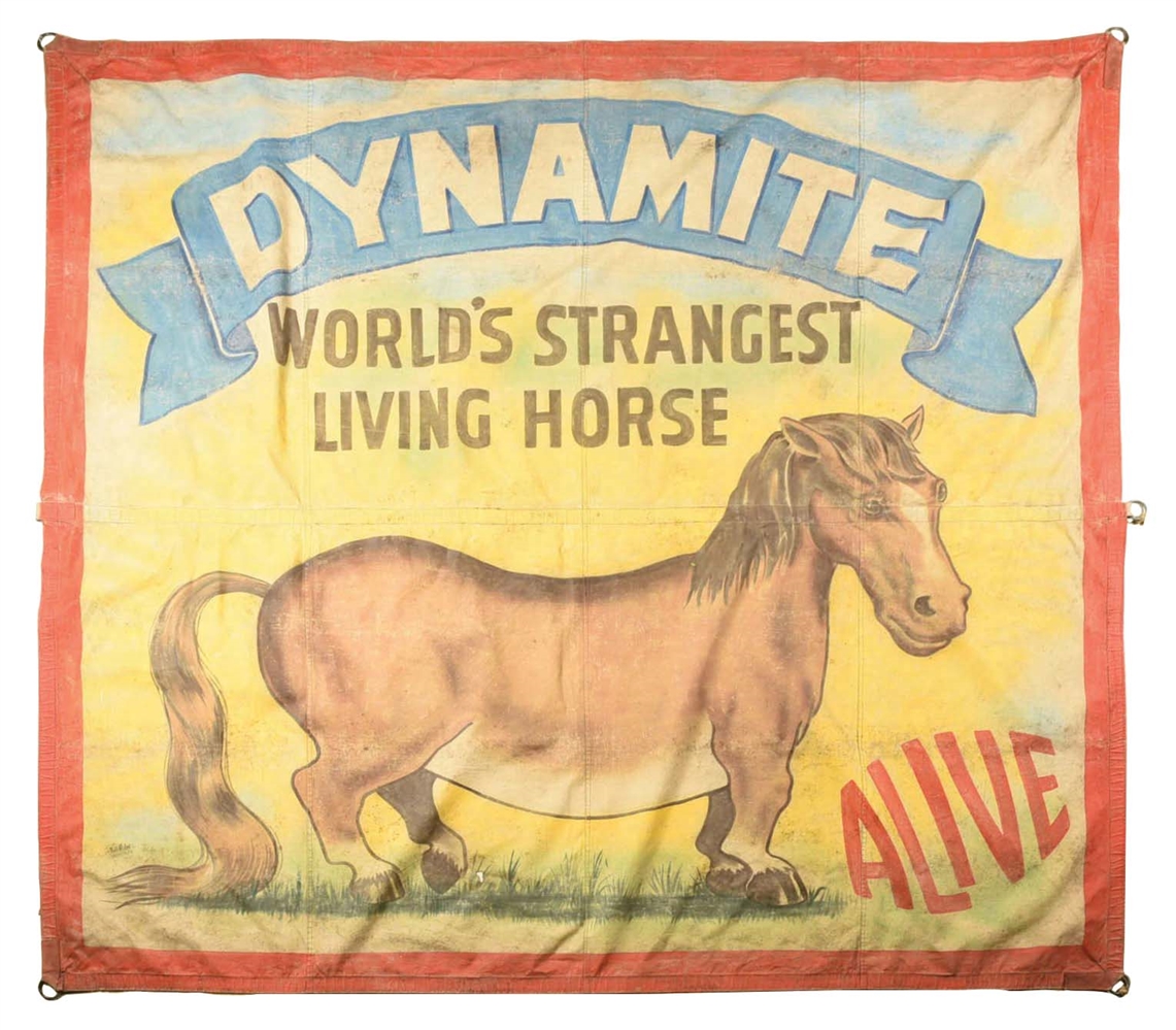 ORIGINAL CANVAS SIDESHOW BANNER FOR DYNAMITE THE WORLDS STRANGEST LIVING HORSE