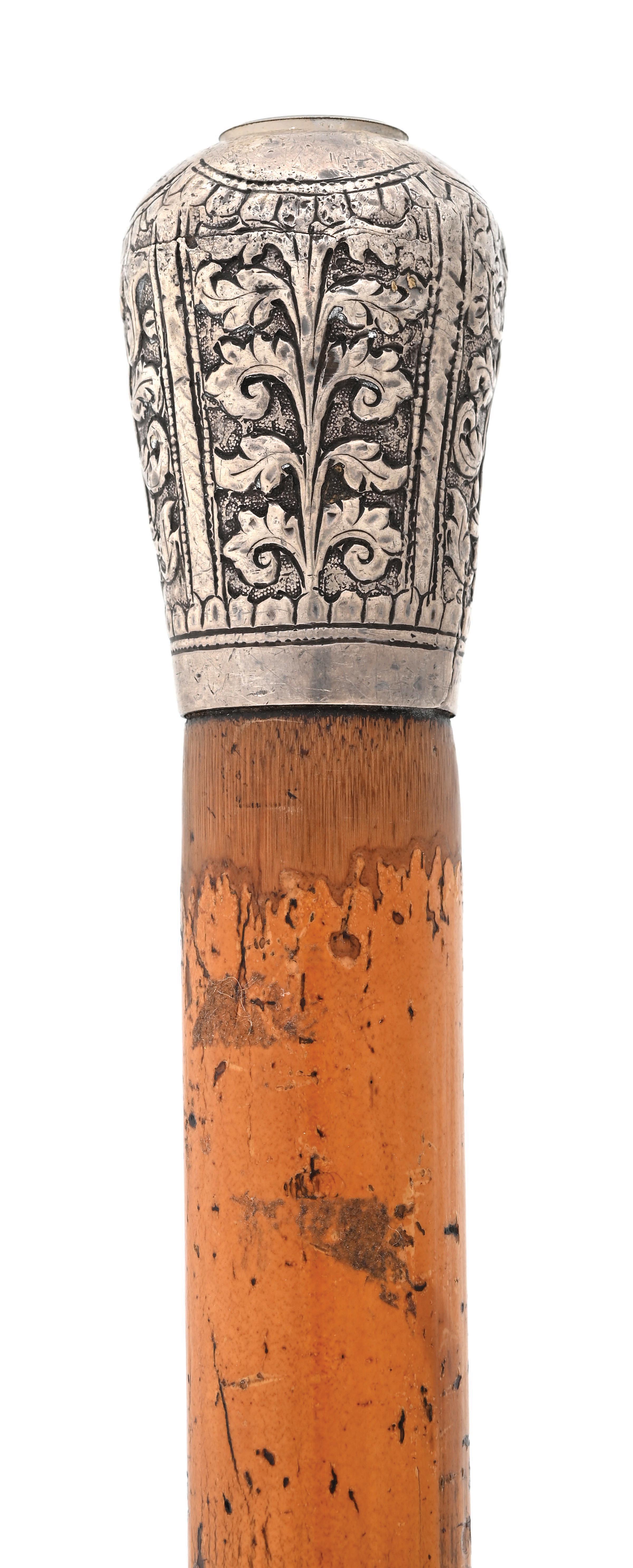 Lot Detail - SILVER-TOPPED COMPASS CANE