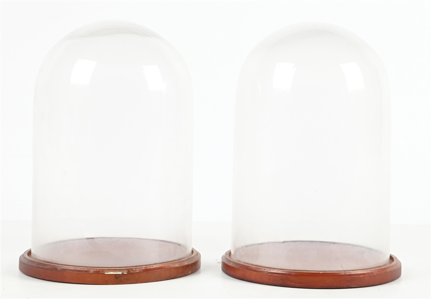 LOT OF 2: GLASS DOME DISPLAYS