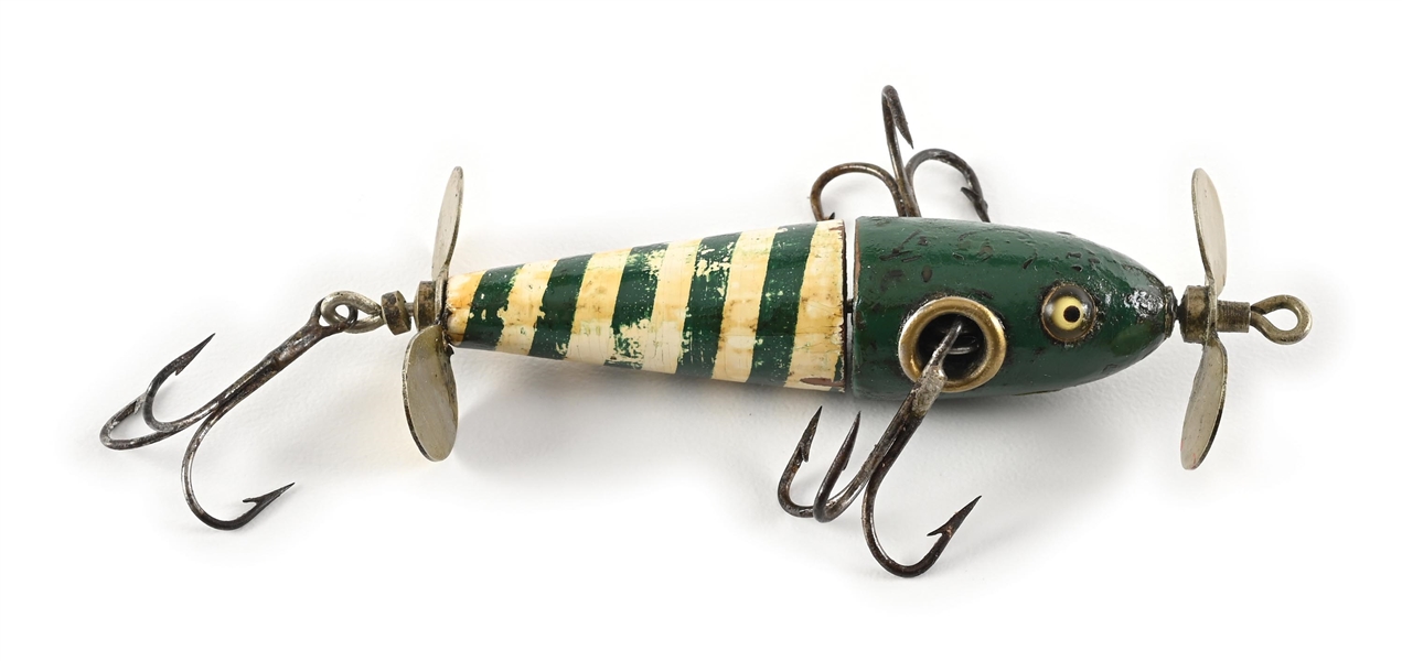 GREEN & WHITE BLUNT-NOSED CHARMER